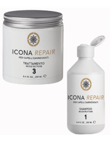 Kit n° 1-3 Icona Repair