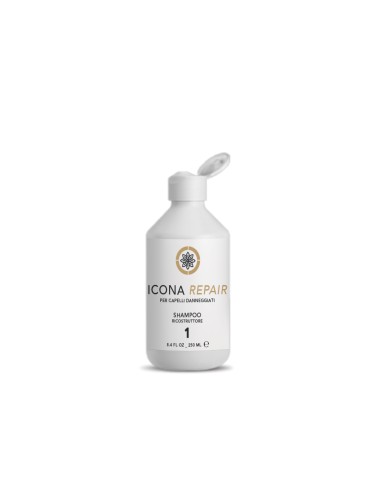 Icona Repair Shampoo n°1